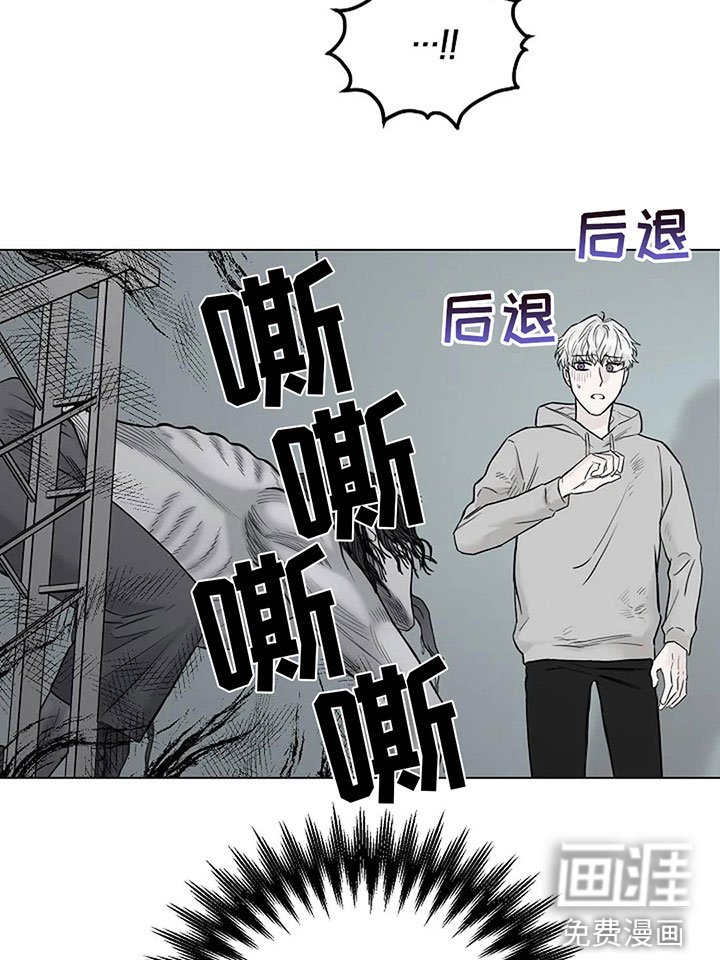 第6章：我可以帮你