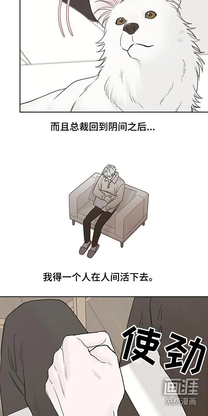 第95章：【第二季】找工作