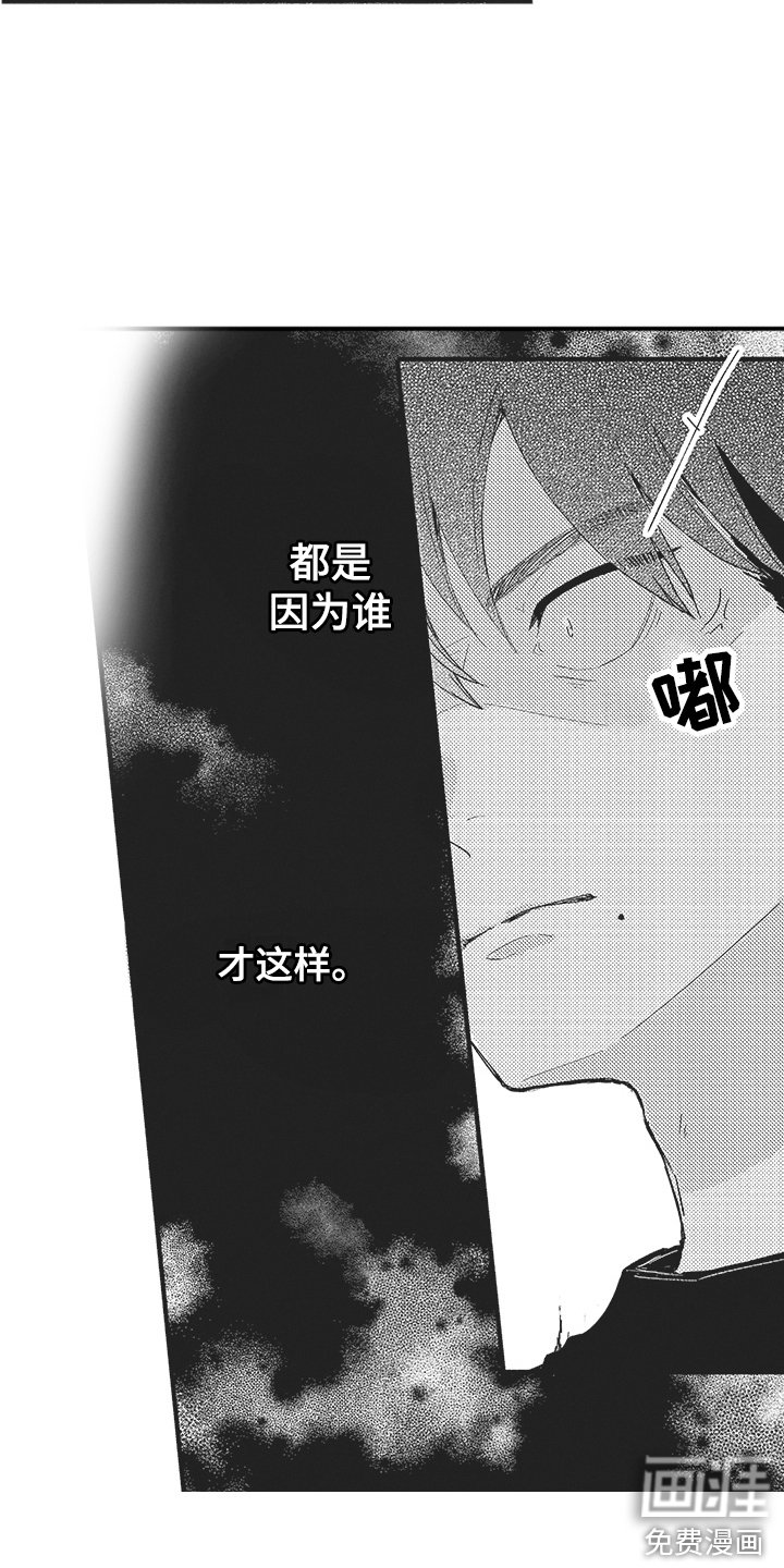 第15章：分开