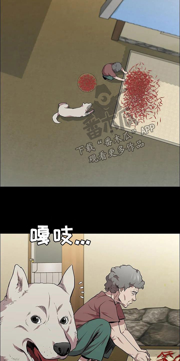第40章：狩猎大会