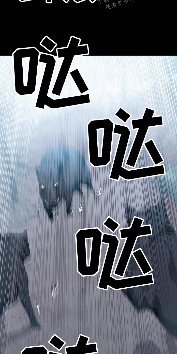 第43章：野猪