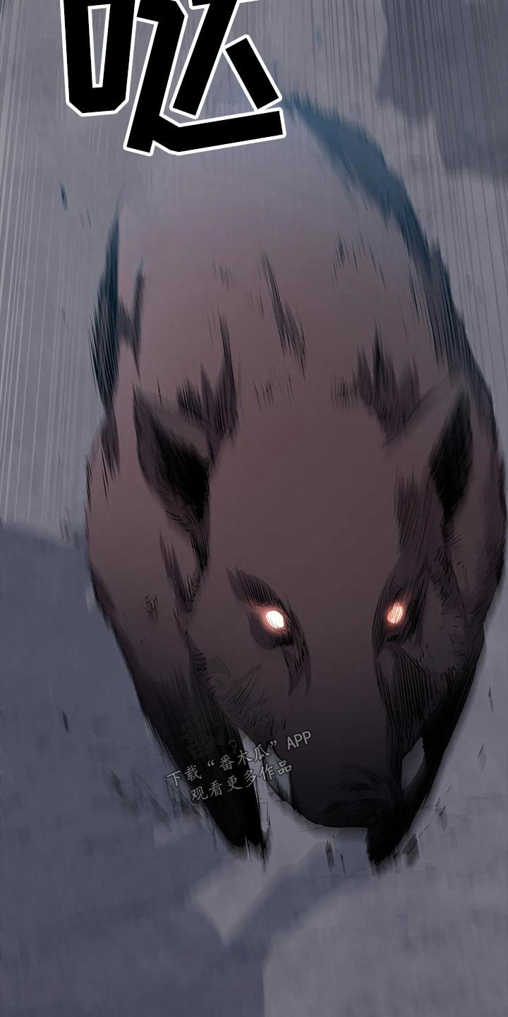 第43章：野猪