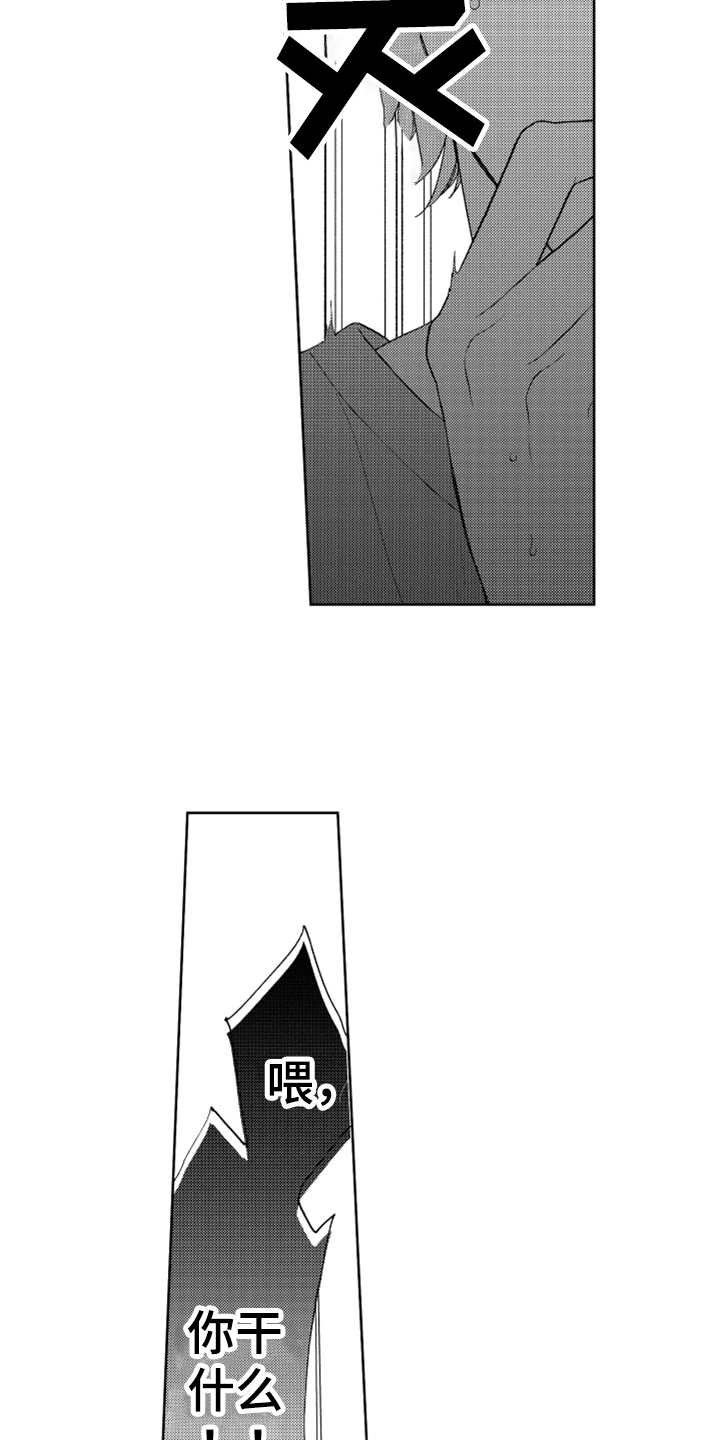 第13章：跟踪者