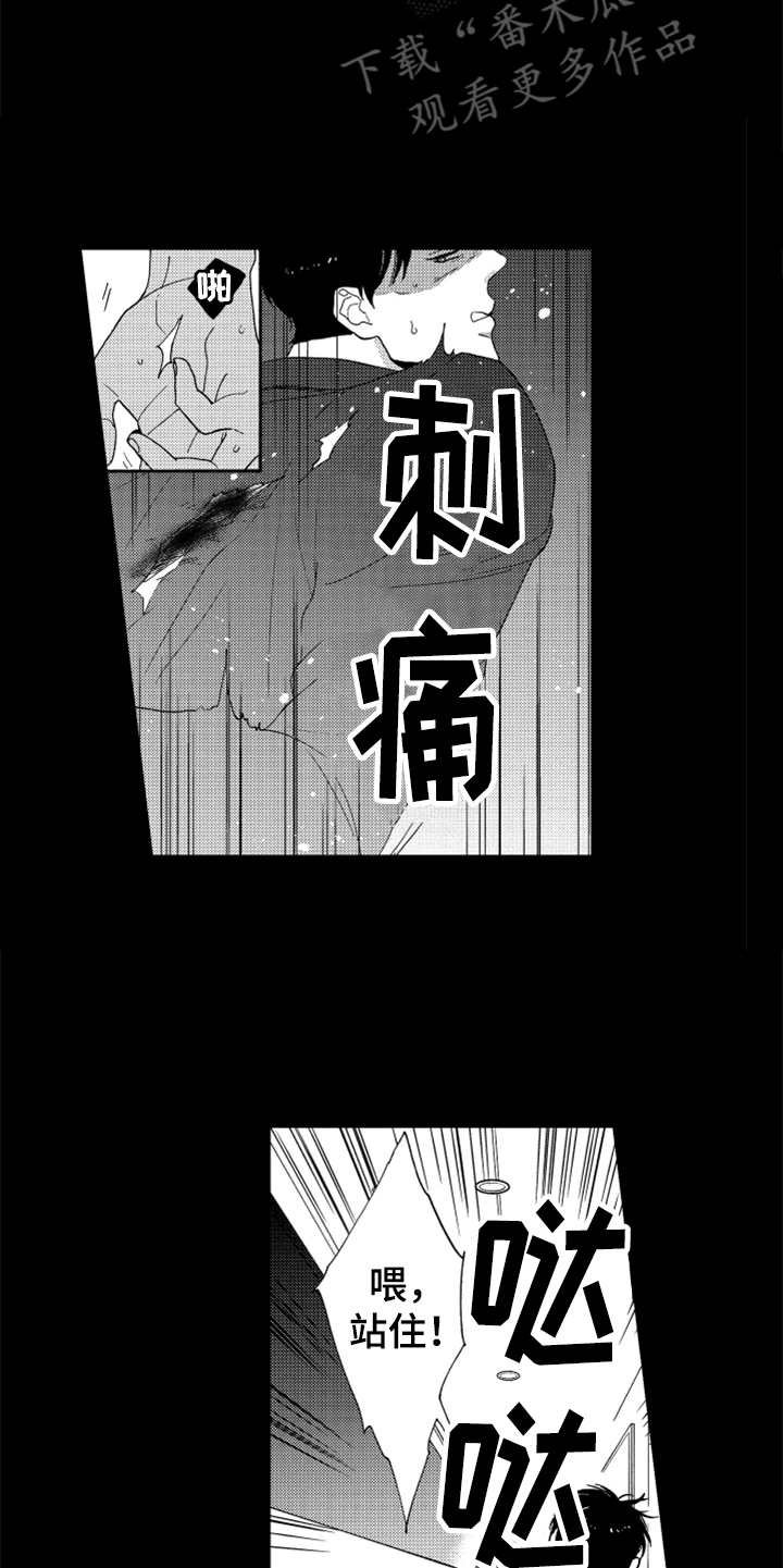 第13章：跟踪者