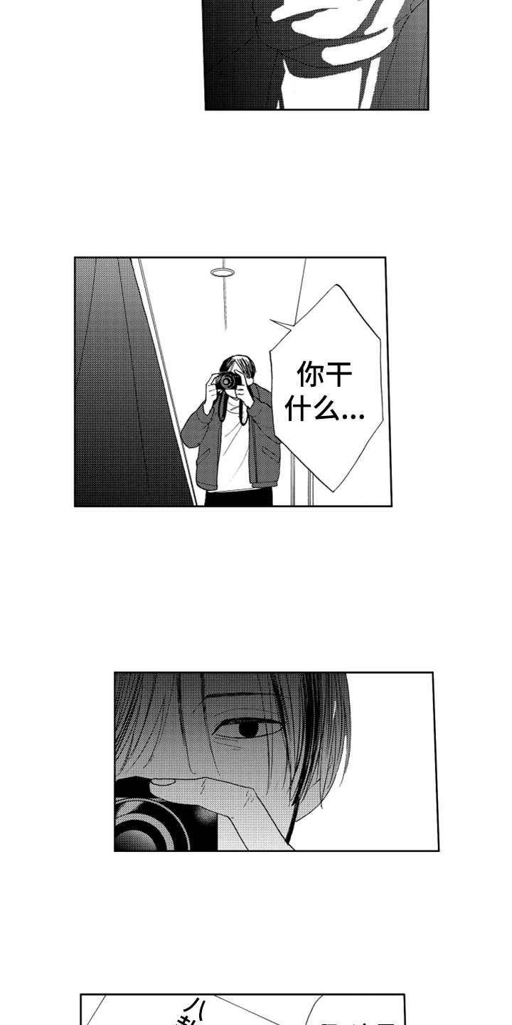 第16章：狗仔