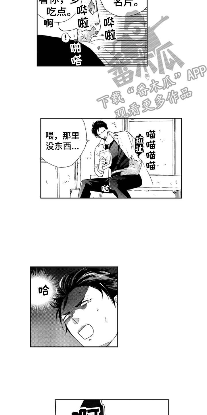 第6章：名片没了
