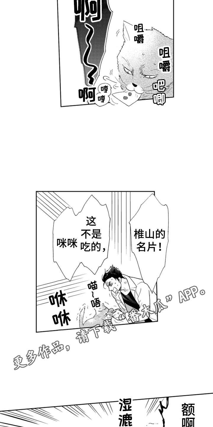 第6章：名片没了