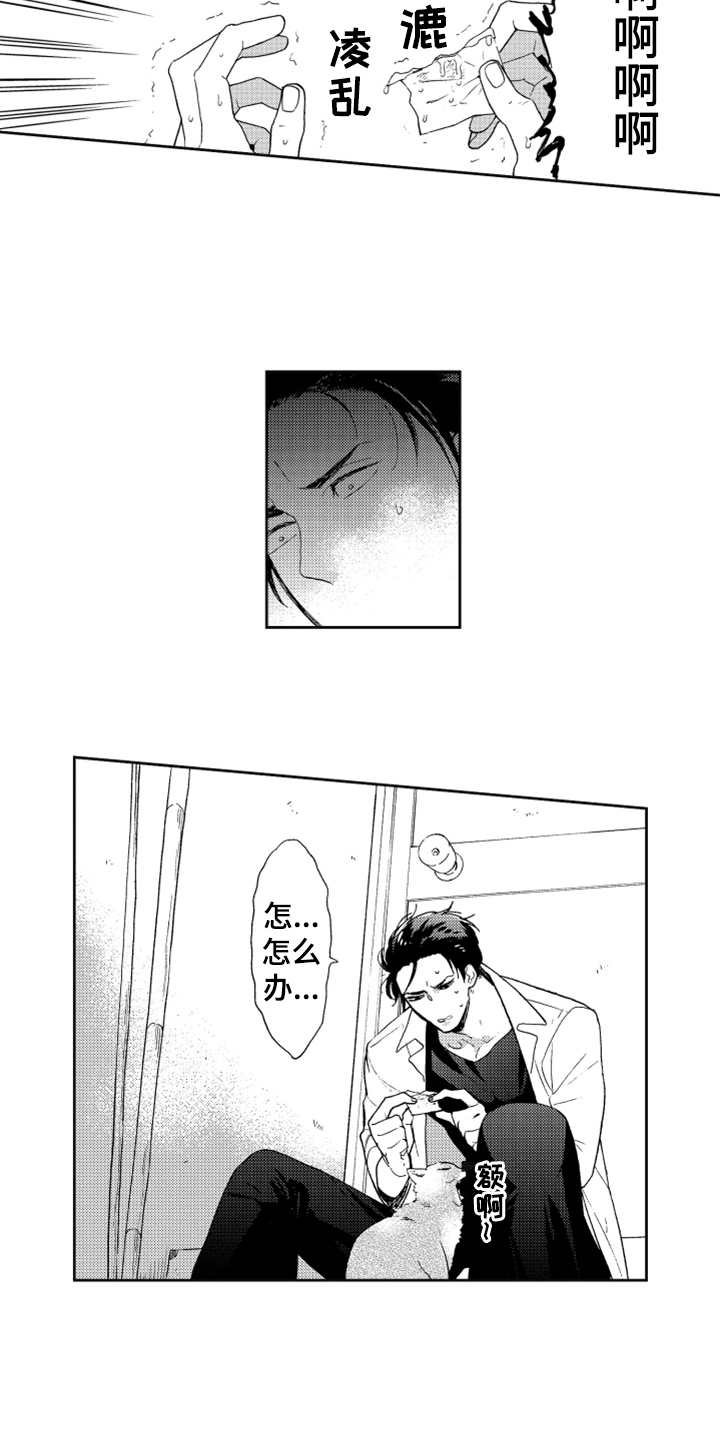 第6章：名片没了