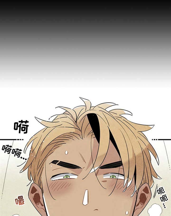 第12章：特效药