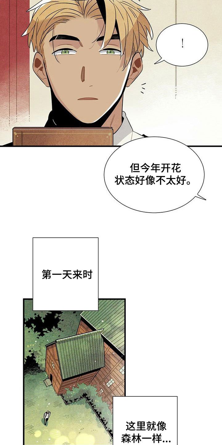 第19章：跟我来