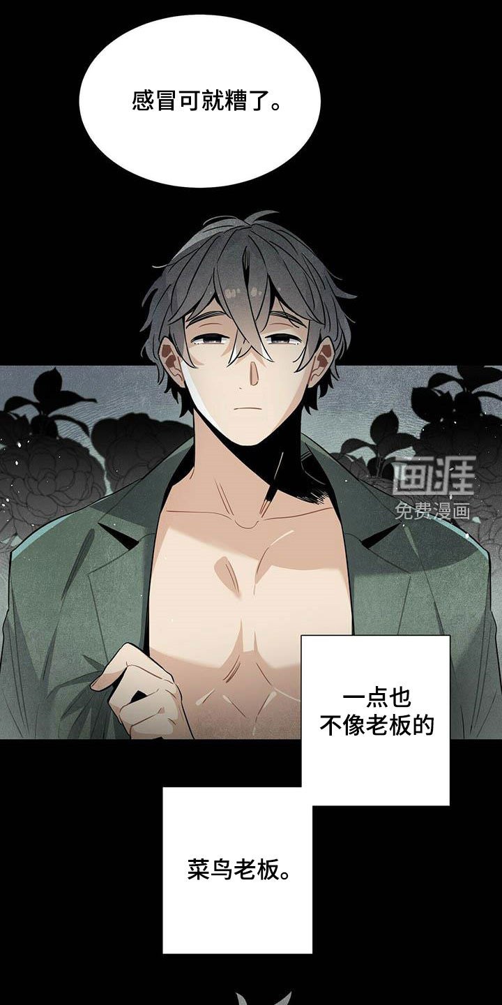 第50章：菜鸟老板