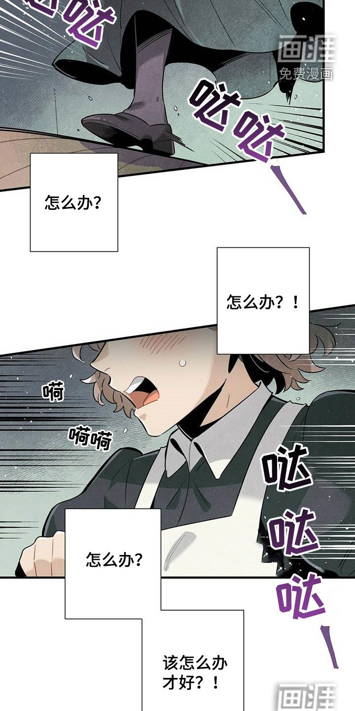 第50章：菜鸟老板