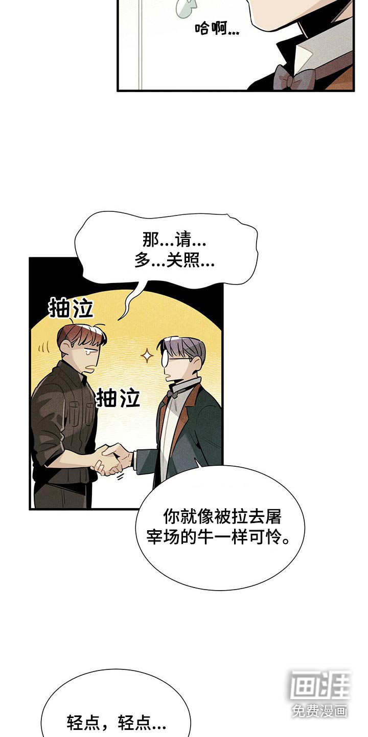 第63章：关照