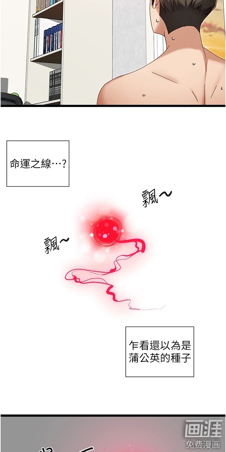 第15章：命运之线
