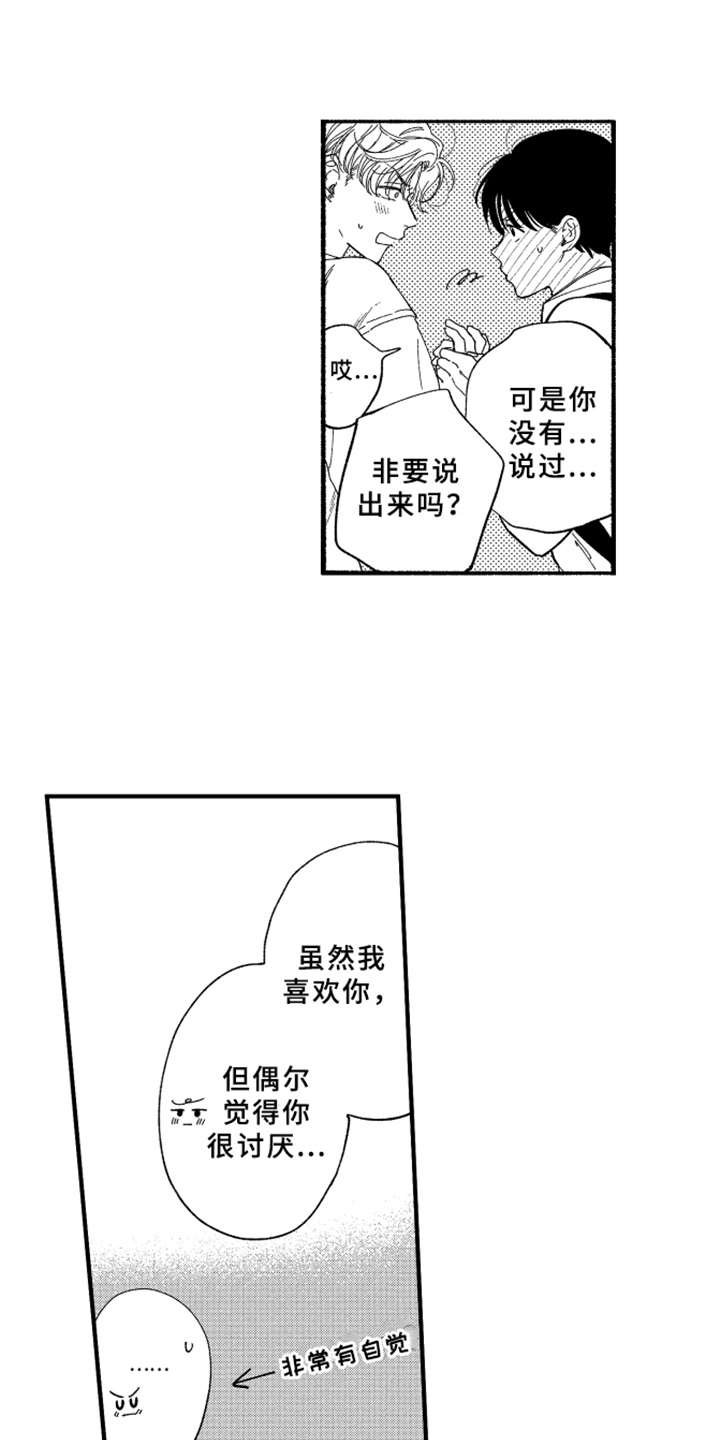 第11章：表白