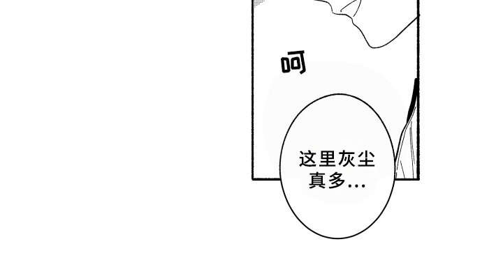 第16章： 2周的量