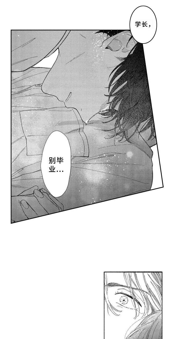 第26章：非常喜欢（完结）