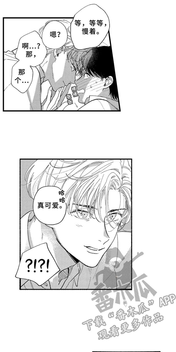 第7章：白色堇菜