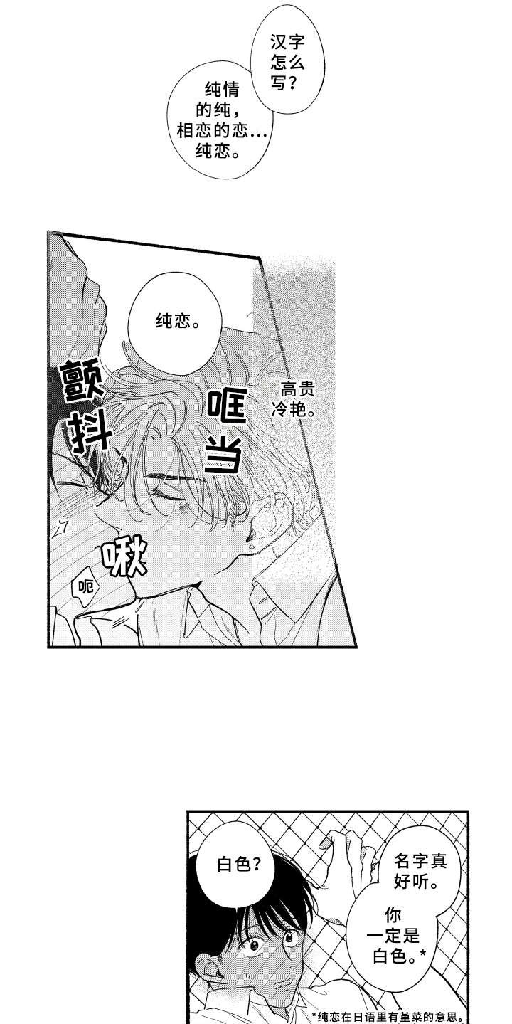 第7章：白色堇菜