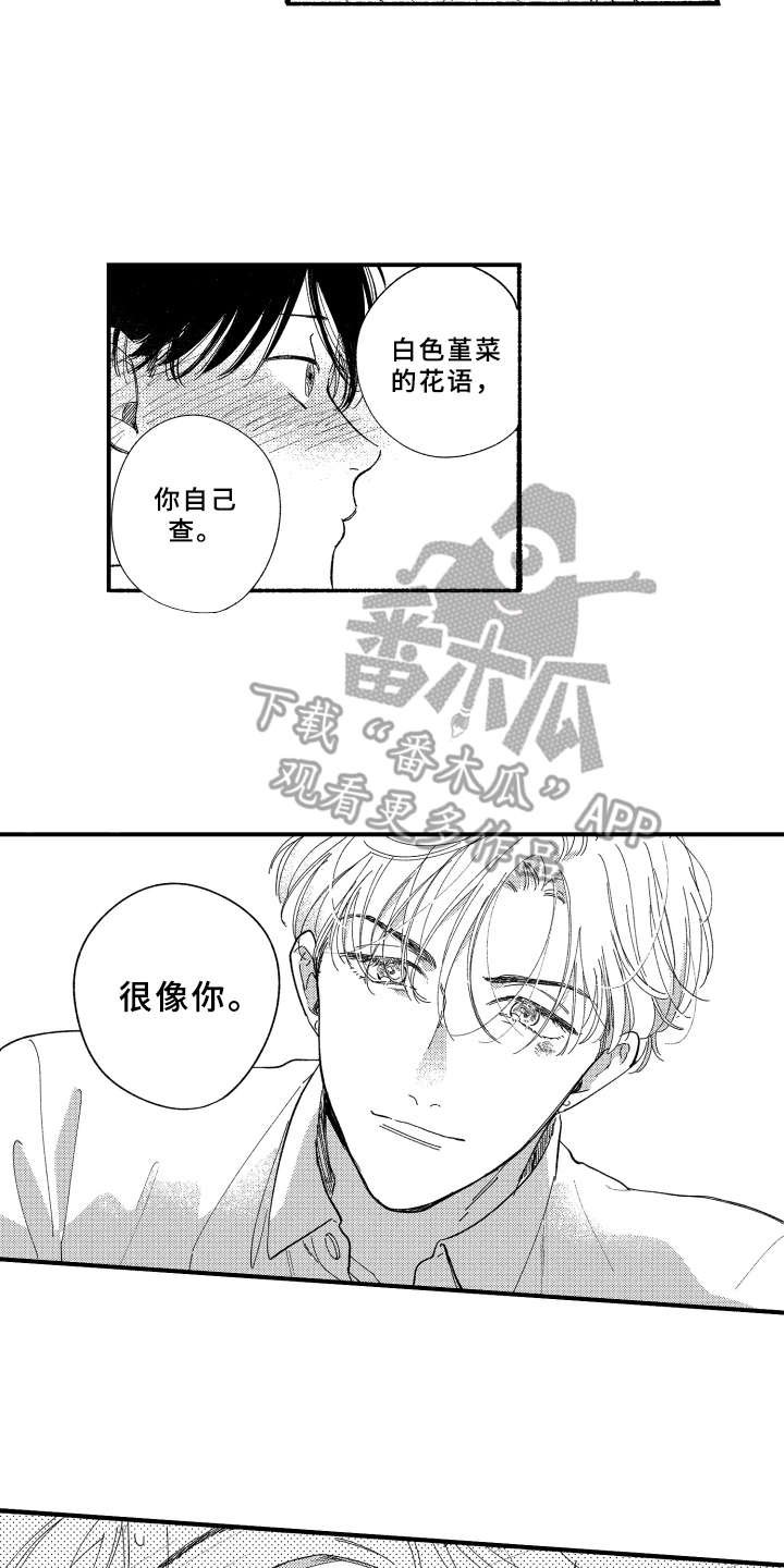 第7章：白色堇菜