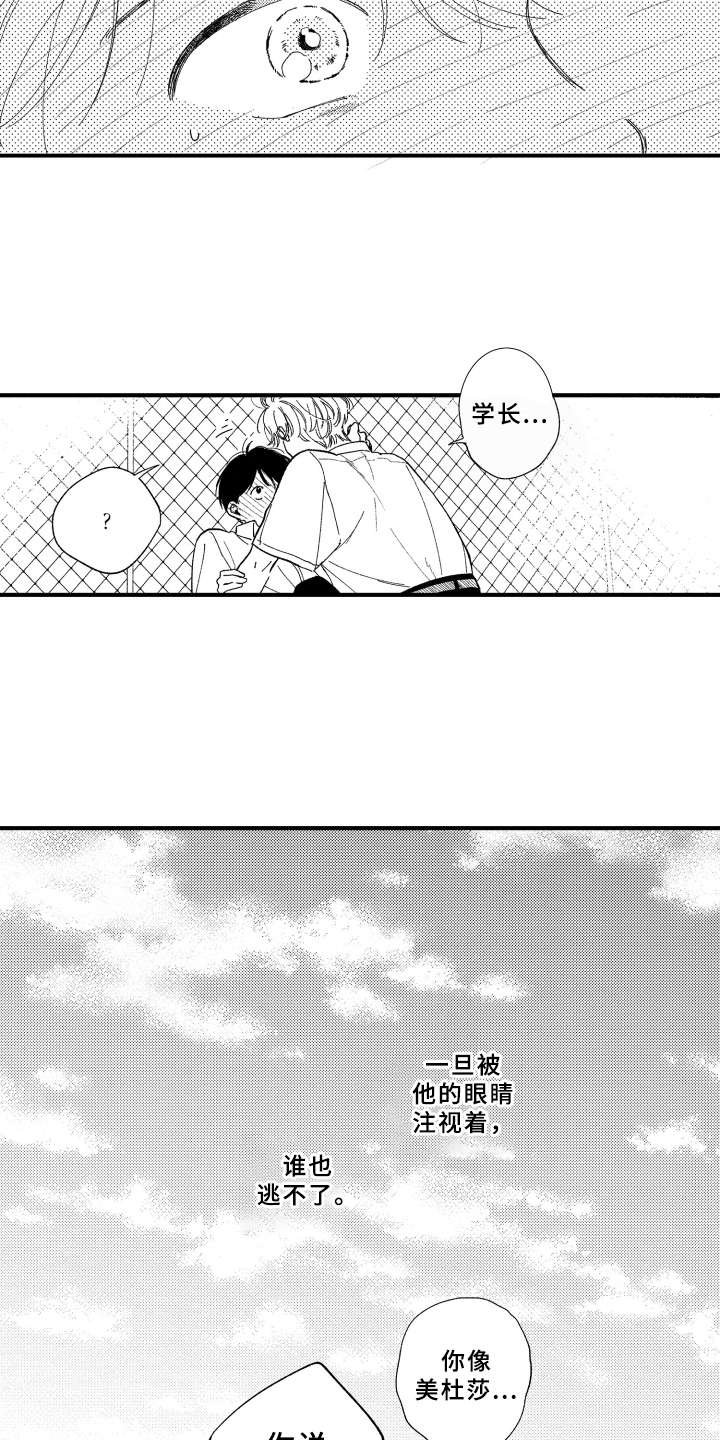 第7章：白色堇菜
