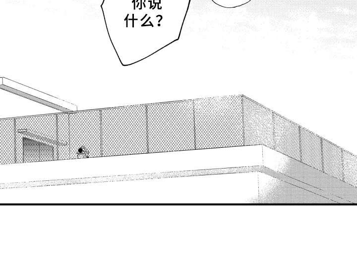 第7章：白色堇菜
