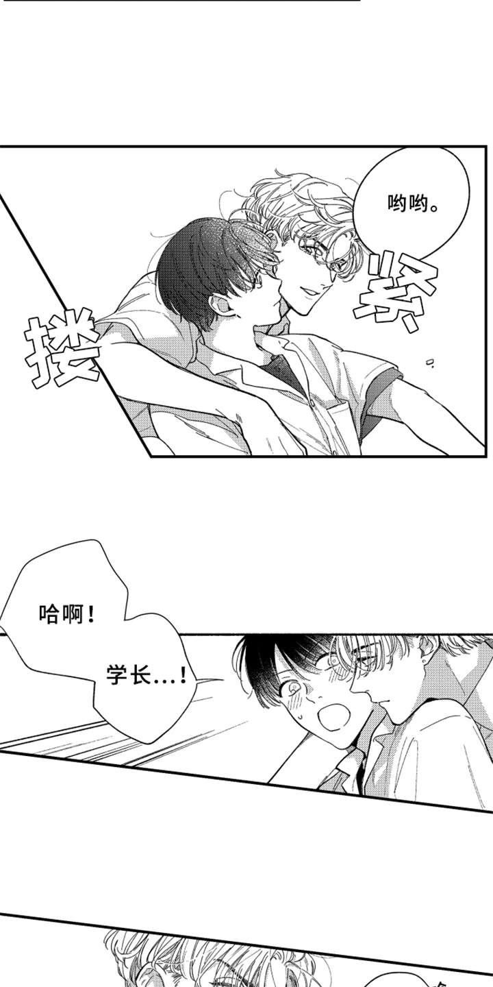 第7章：白色堇菜