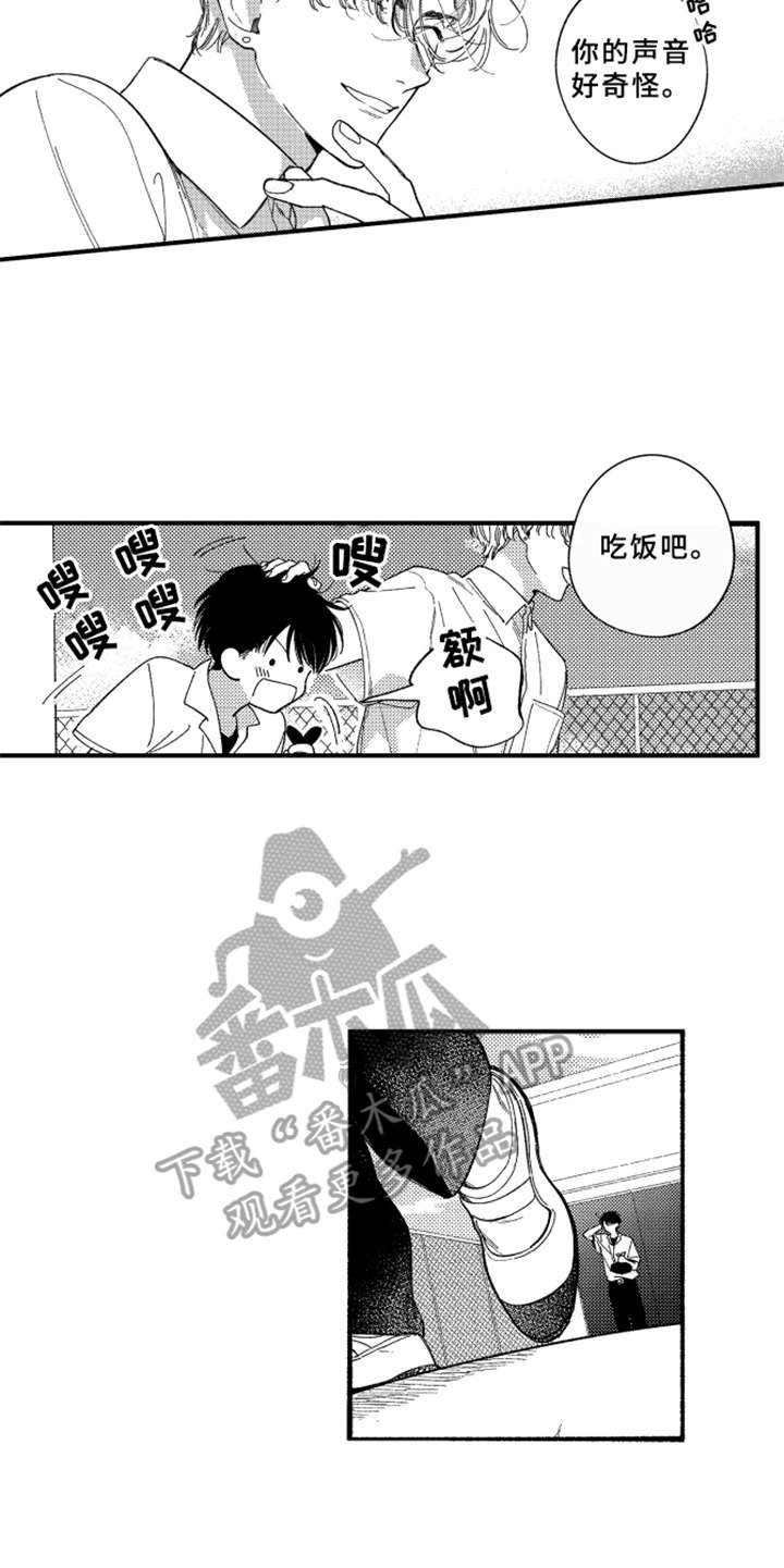 第7章：白色堇菜