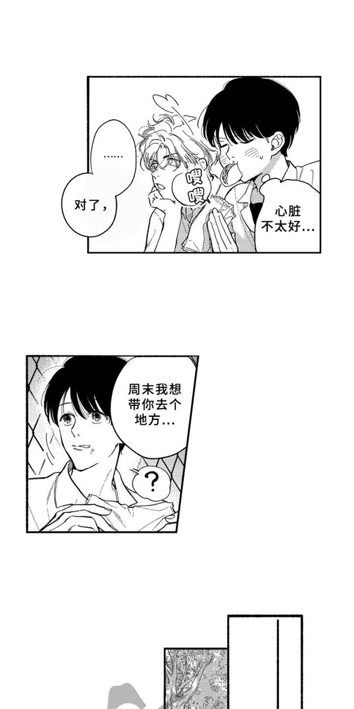 第8章：很好看