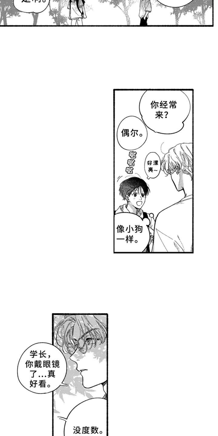 第8章：很好看