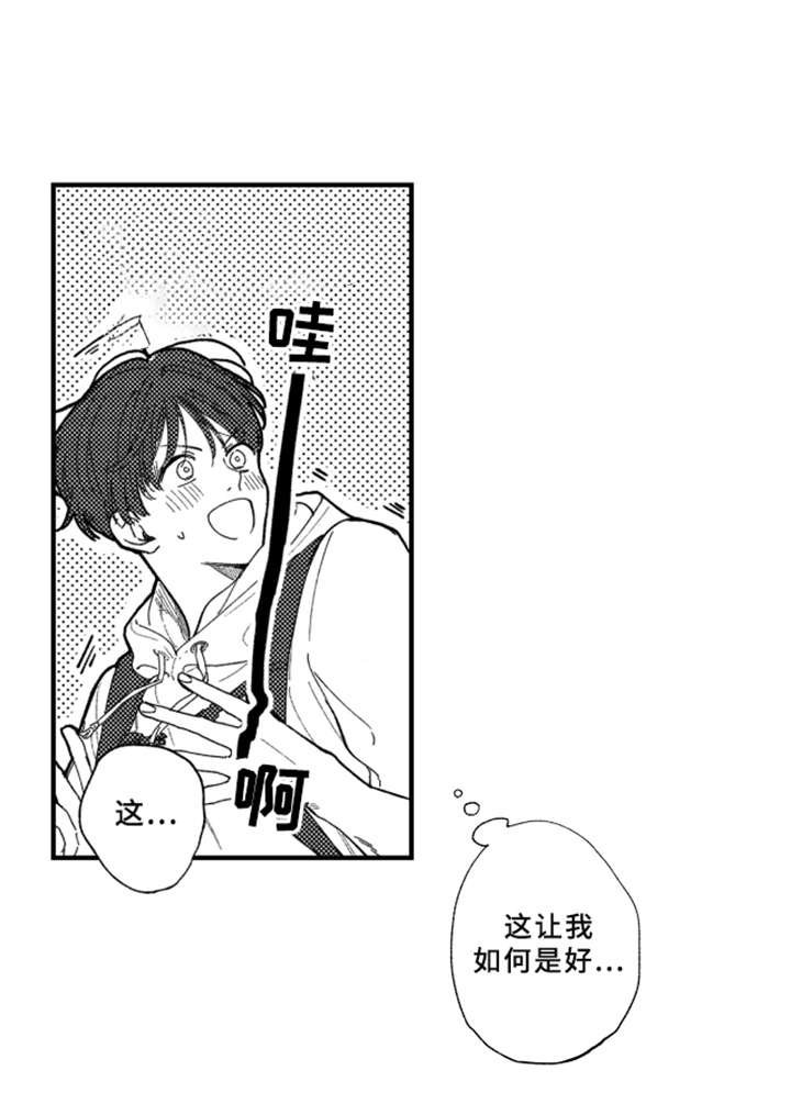 第8章：很好看