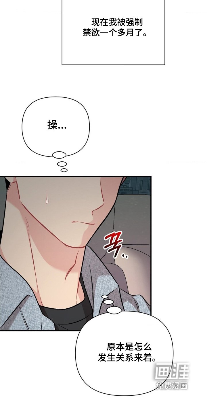 第117章：到底为什么