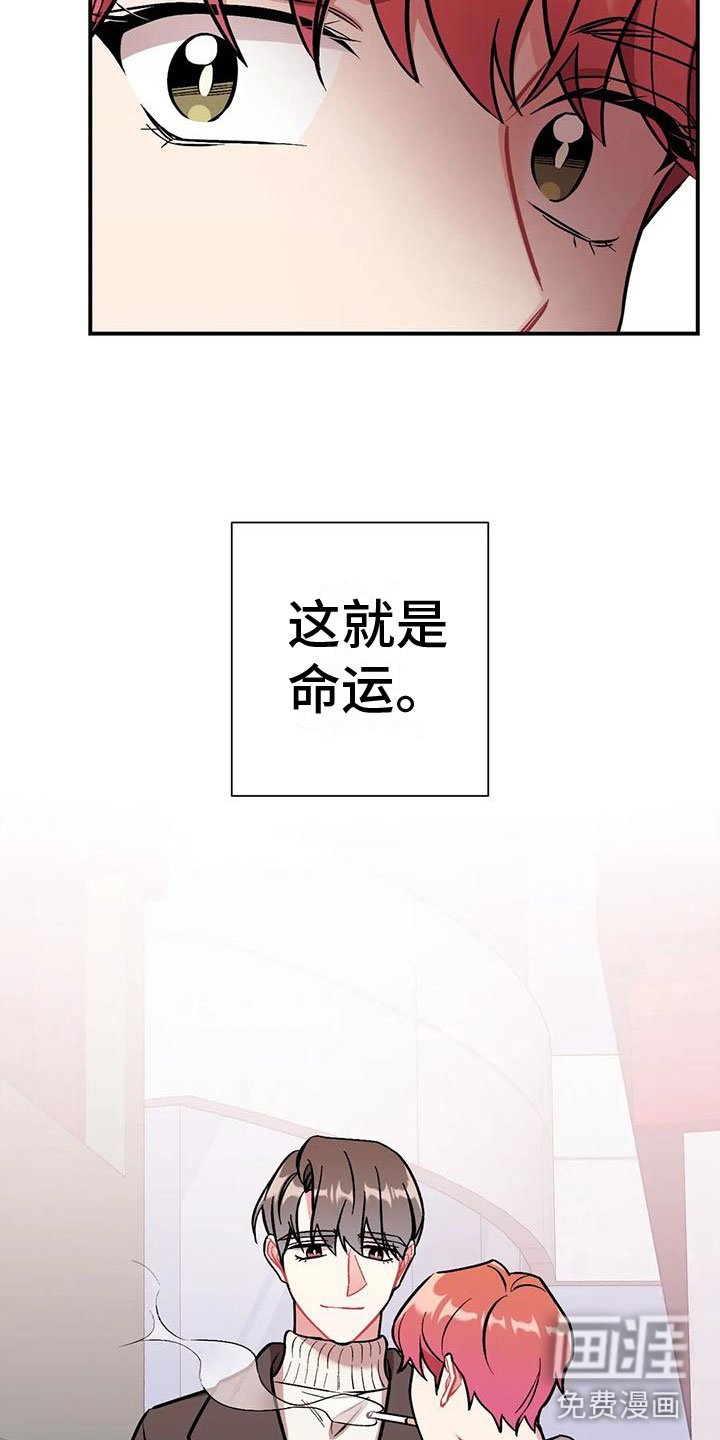 第4章：又见面了