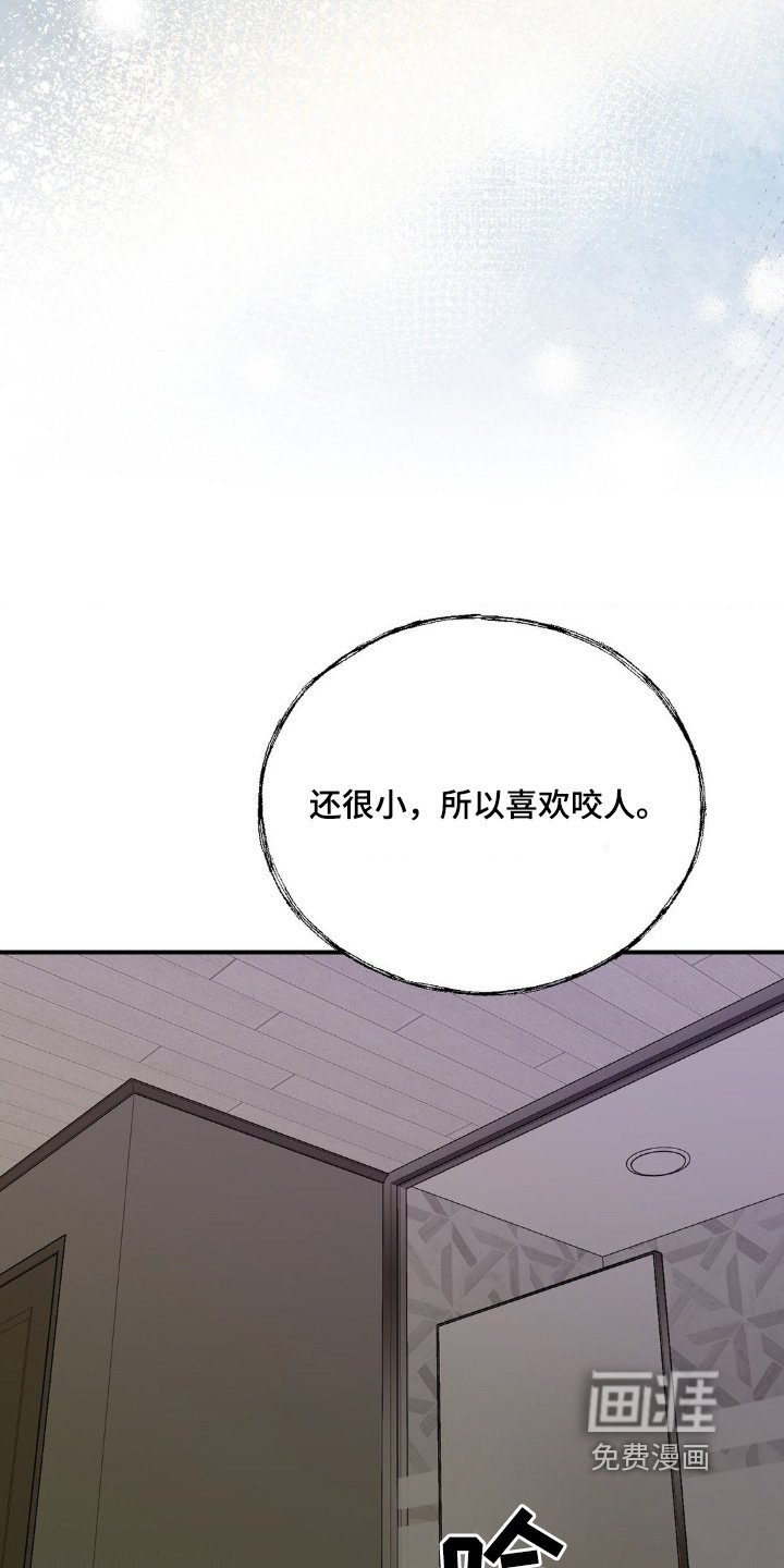 第84章：一定很可爱