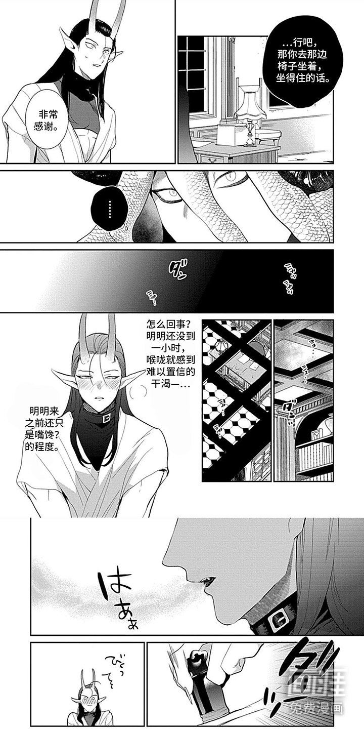 第5章：我的工作