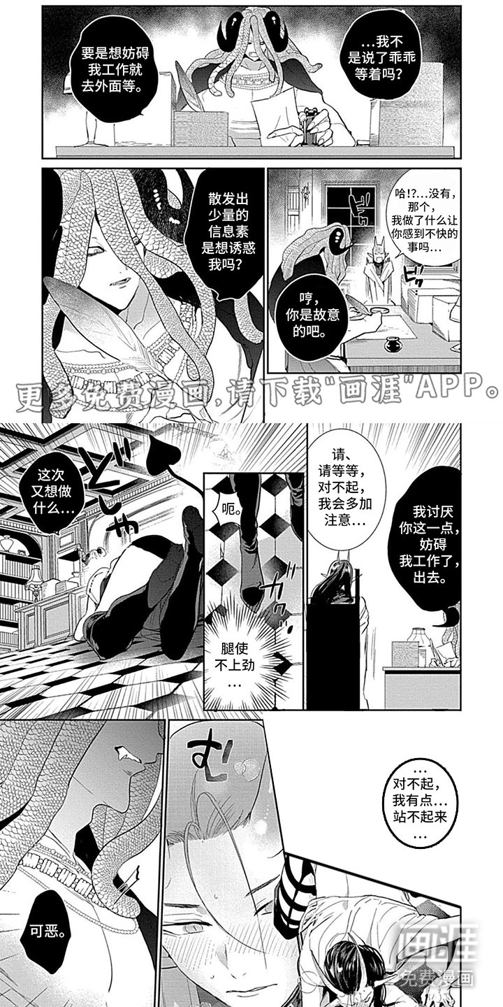 第5章：我的工作