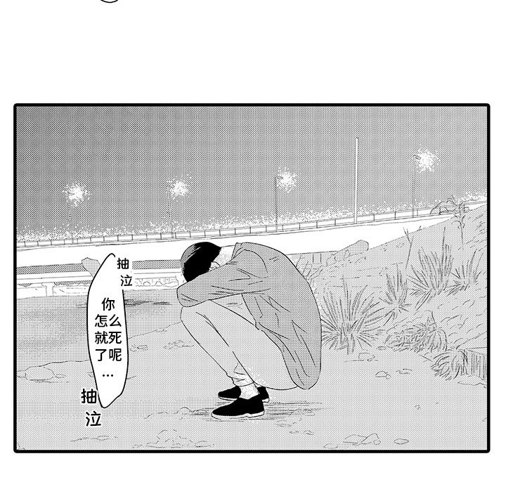 第11章：明白了