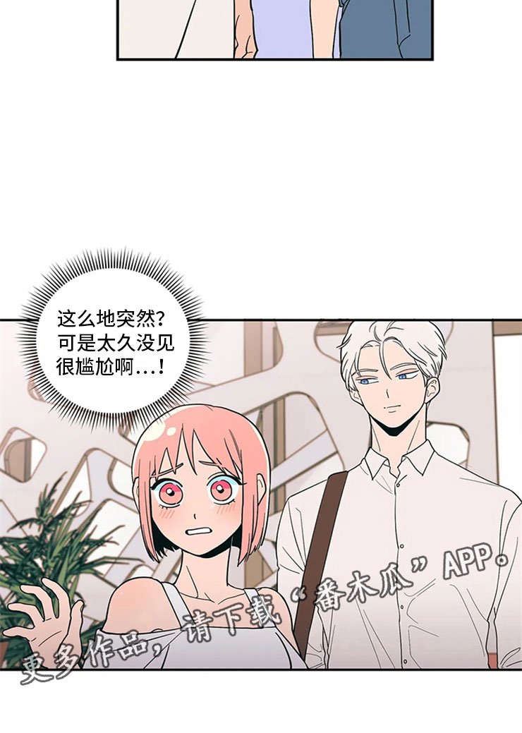 第12章：暗恋对象