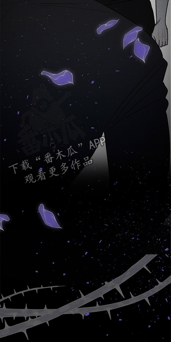 第13章：他的礼物