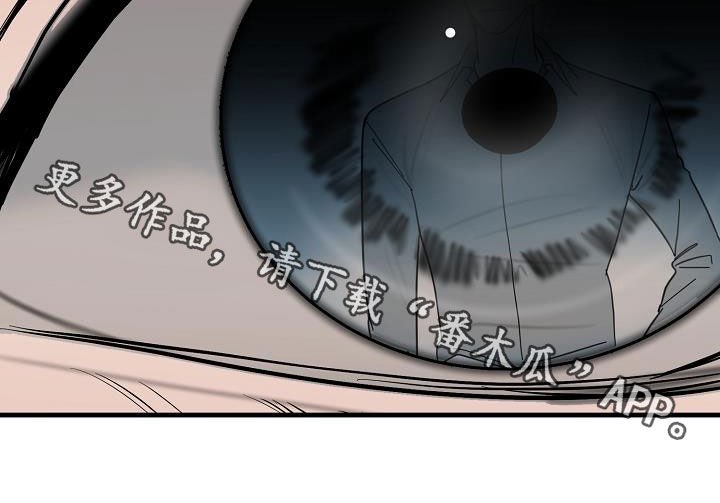 第21章：暴力