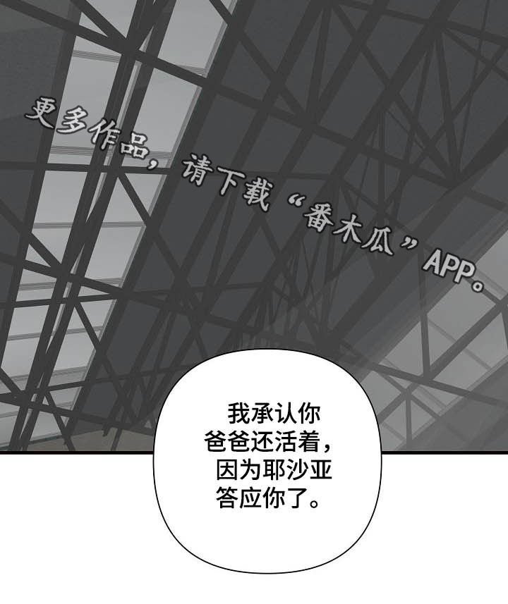第29章：救父