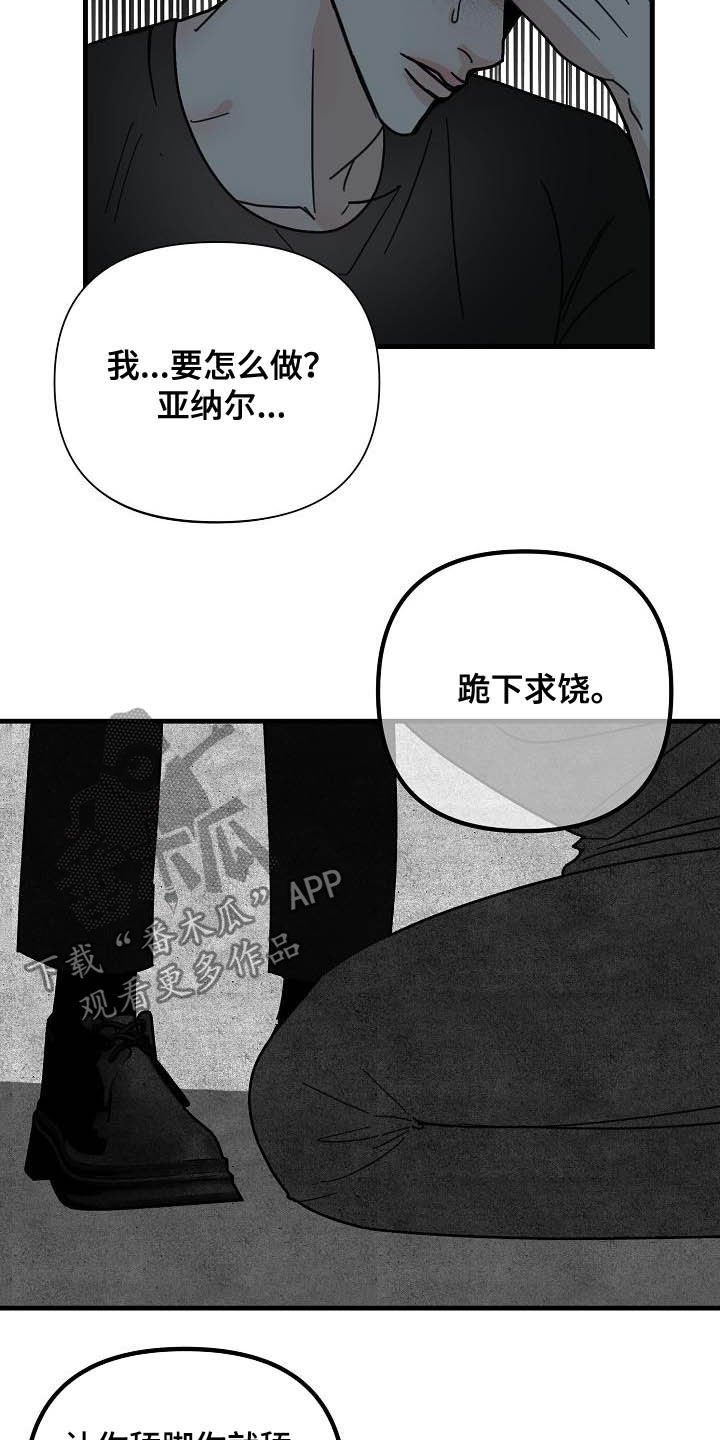 第30章：鲸鱼