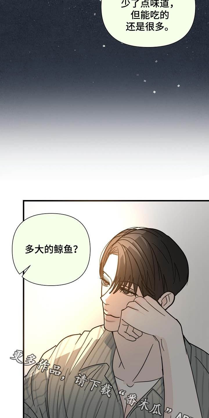 第30章：鲸鱼