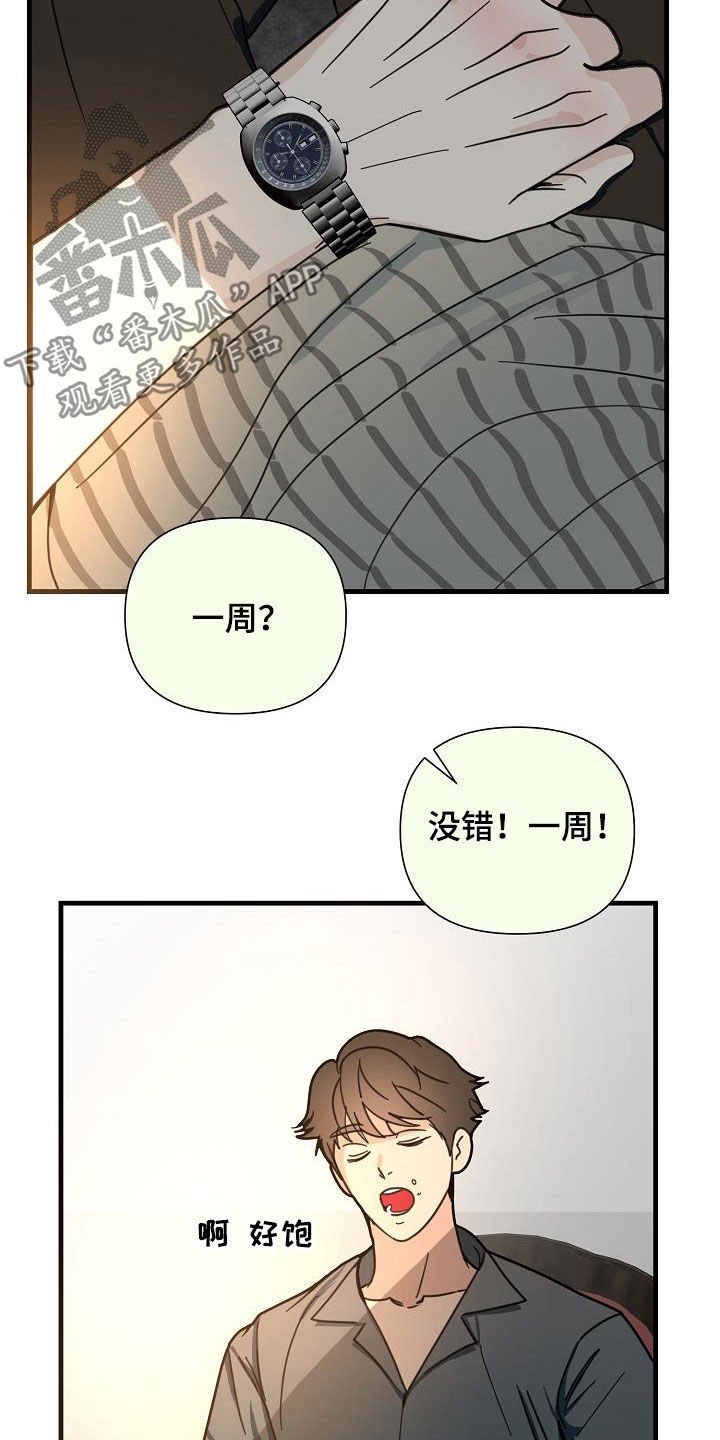 第31章：巨人