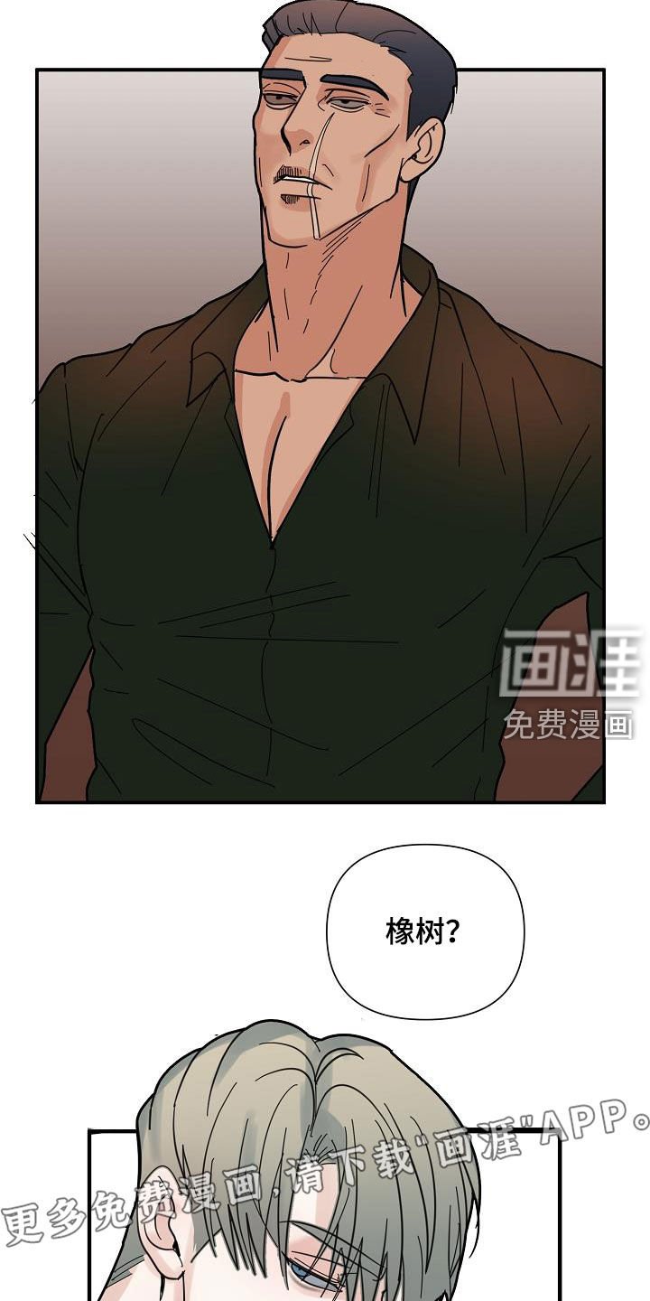 第41章：心情