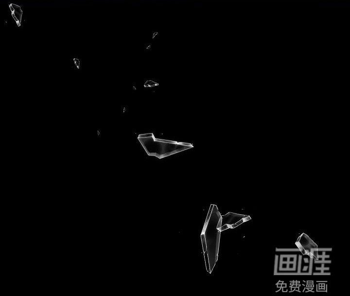 第43章：收网（第一季完结）