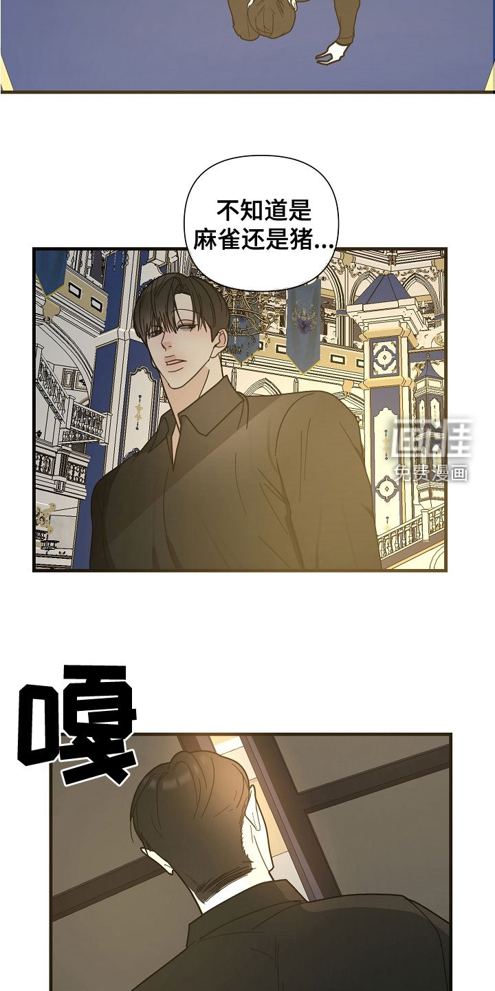 第54章：【第二季】条件
