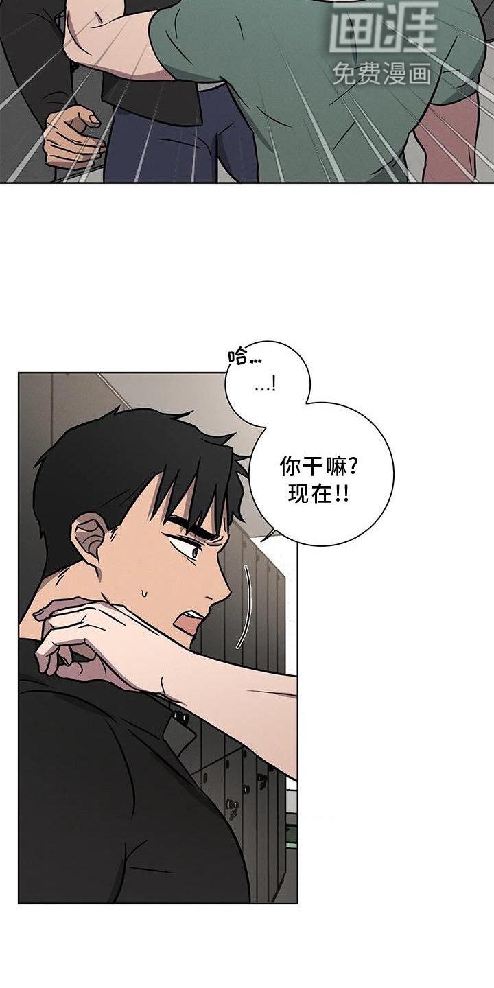 第17章：利用