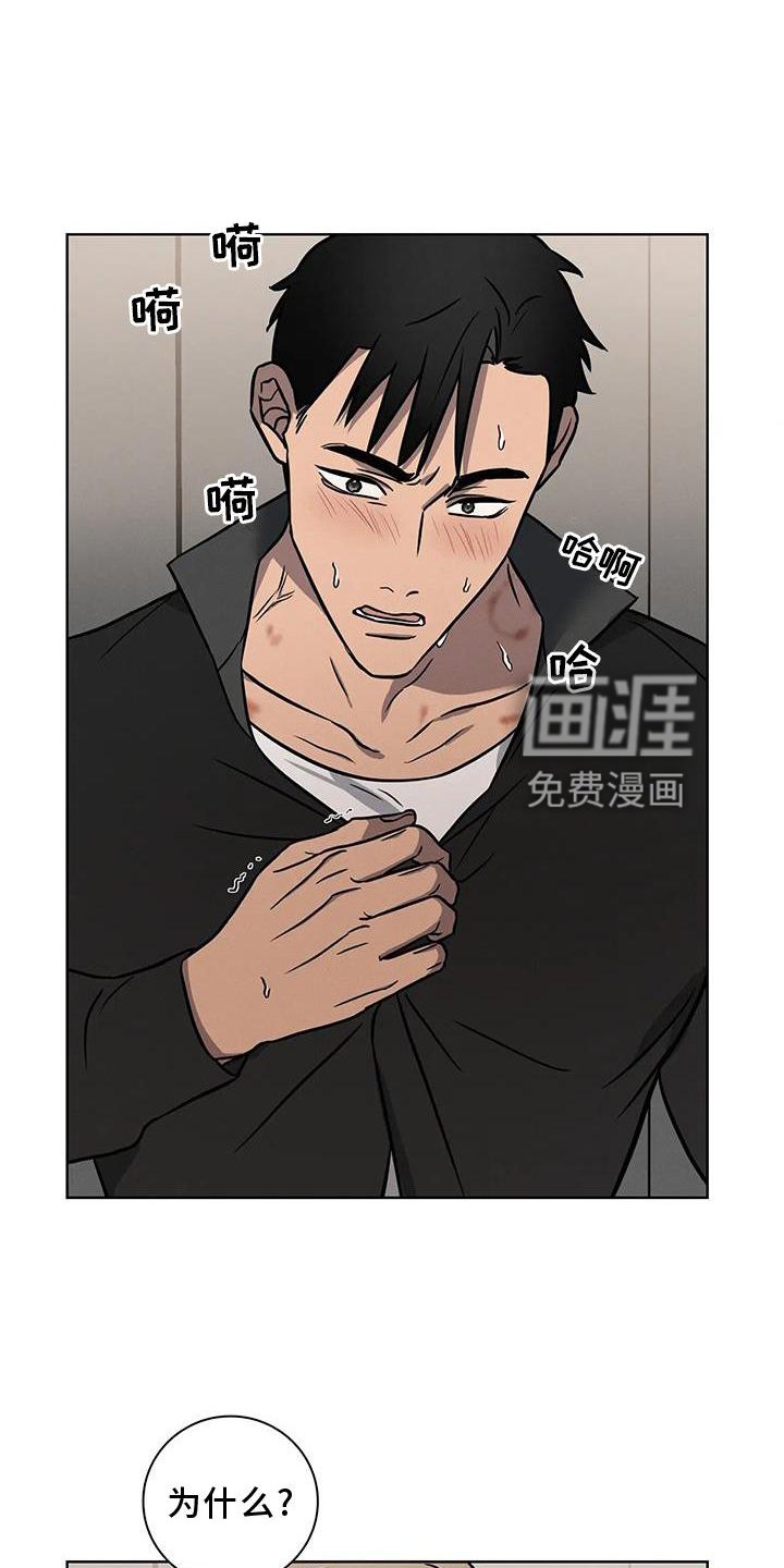 第17章：利用