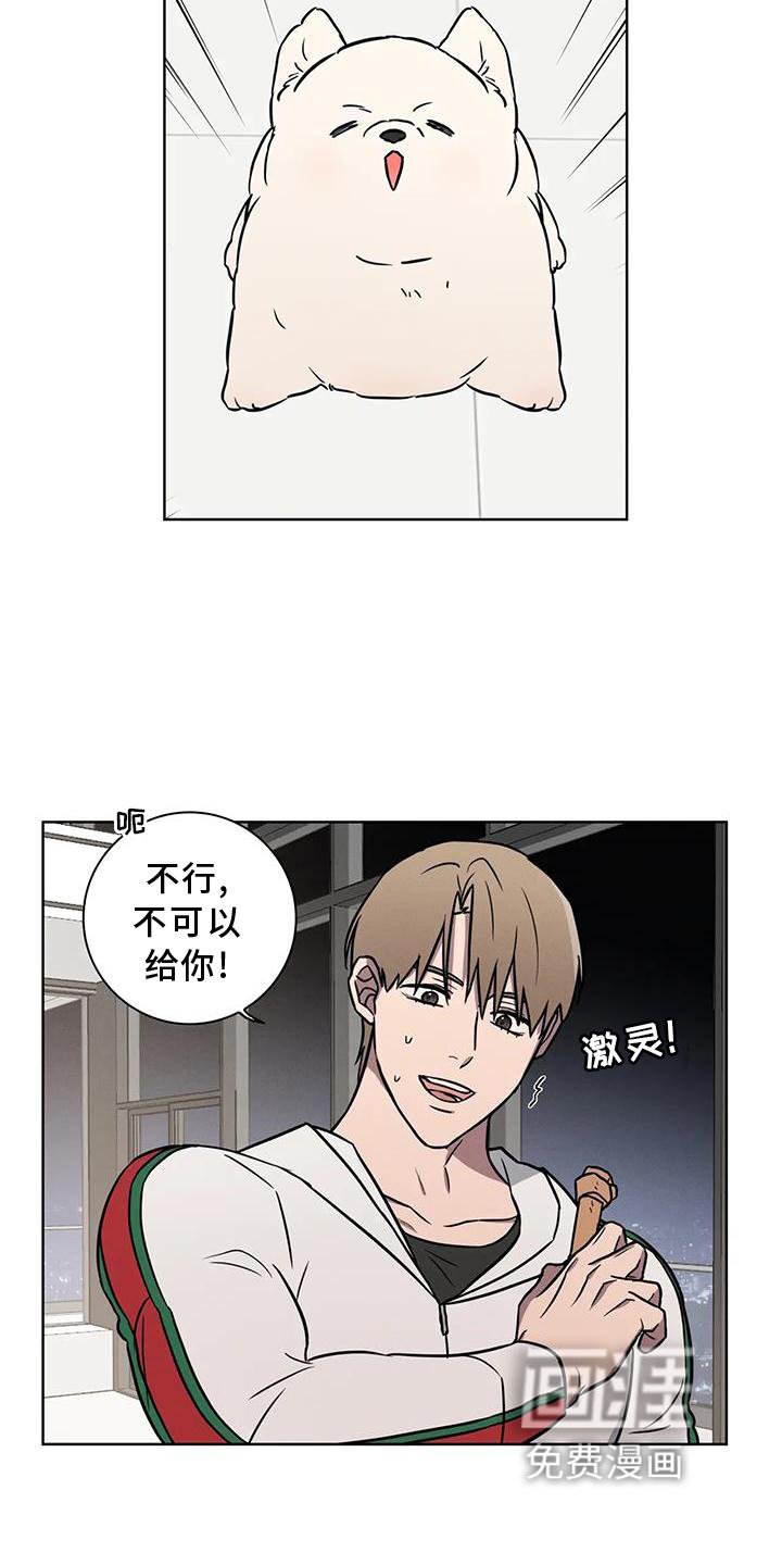 第23章：电话